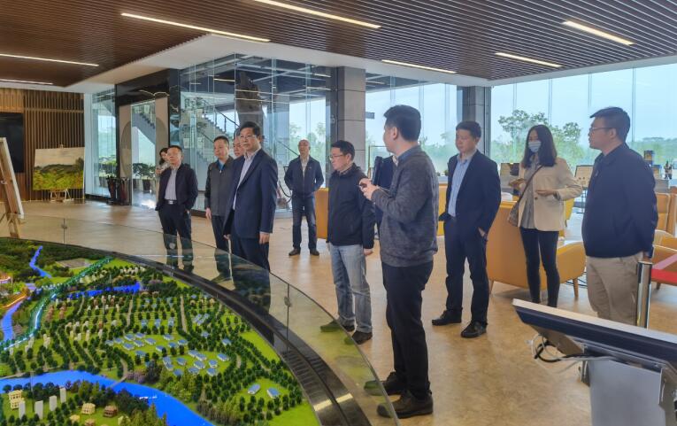 广西旅发集团党委书记、董事长容贤标考察集团文旅项目