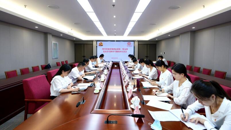 尊龙凯时集团党委书记、董事长任丁参加总部第一党支部党史学习教育专题组织生活会