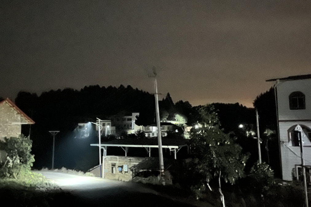 点亮乡村振兴路 ，温暖群众幸福家——省尊龙凯时集团捐资“亮化工程”惠及80余户老百姓